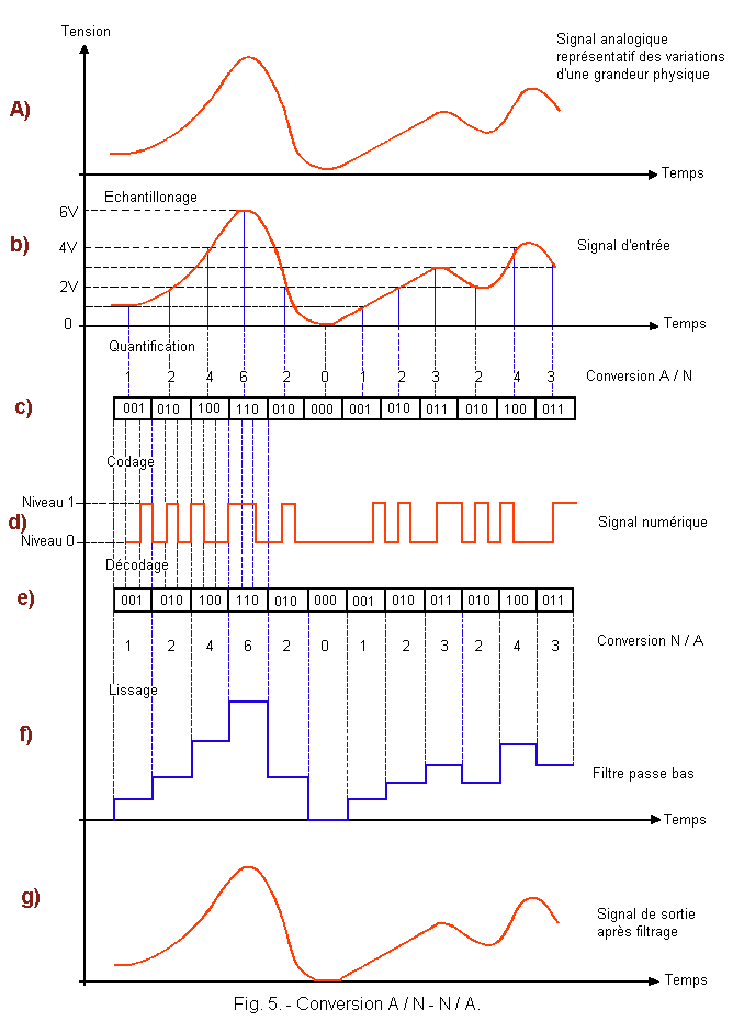 Information in the Numerical Systems